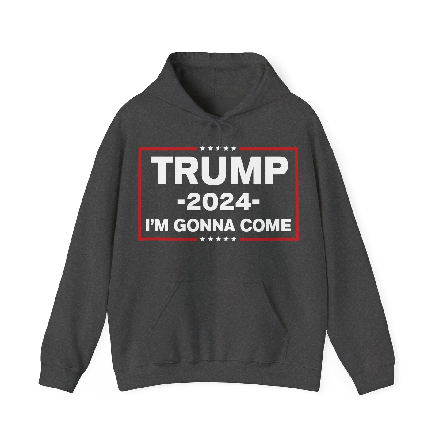 TRUMP Hoodie 2024 Maga