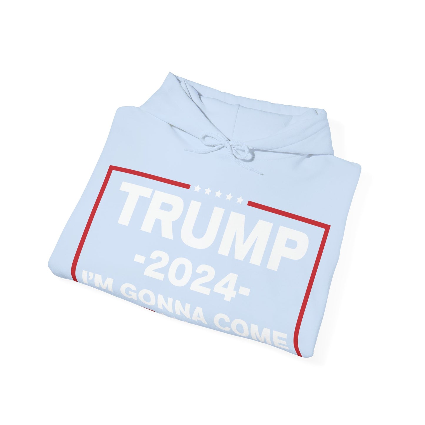 TRUMP Hoodie 2024 Maga