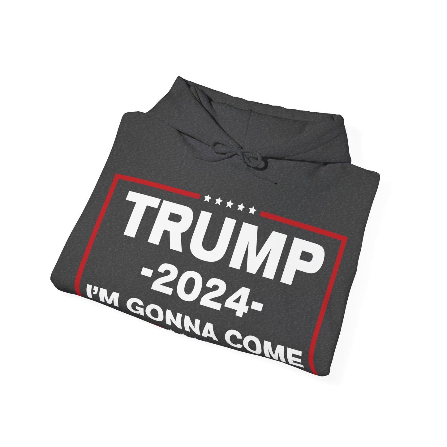 TRUMP Hoodie 2024 Maga