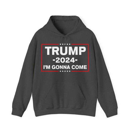 TRUMP Hoodie 2024 Maga