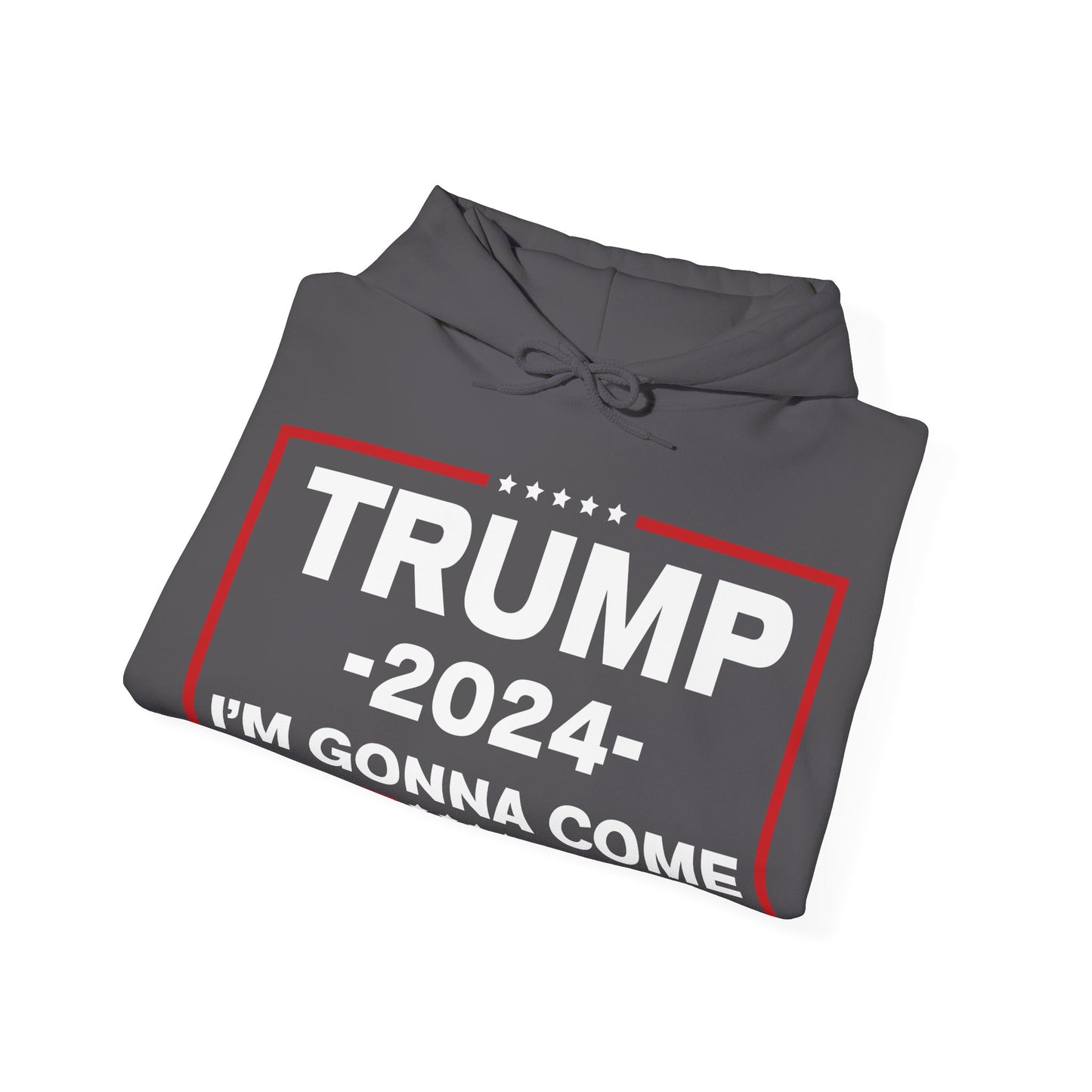 TRUMP Hoodie 2024 Maga