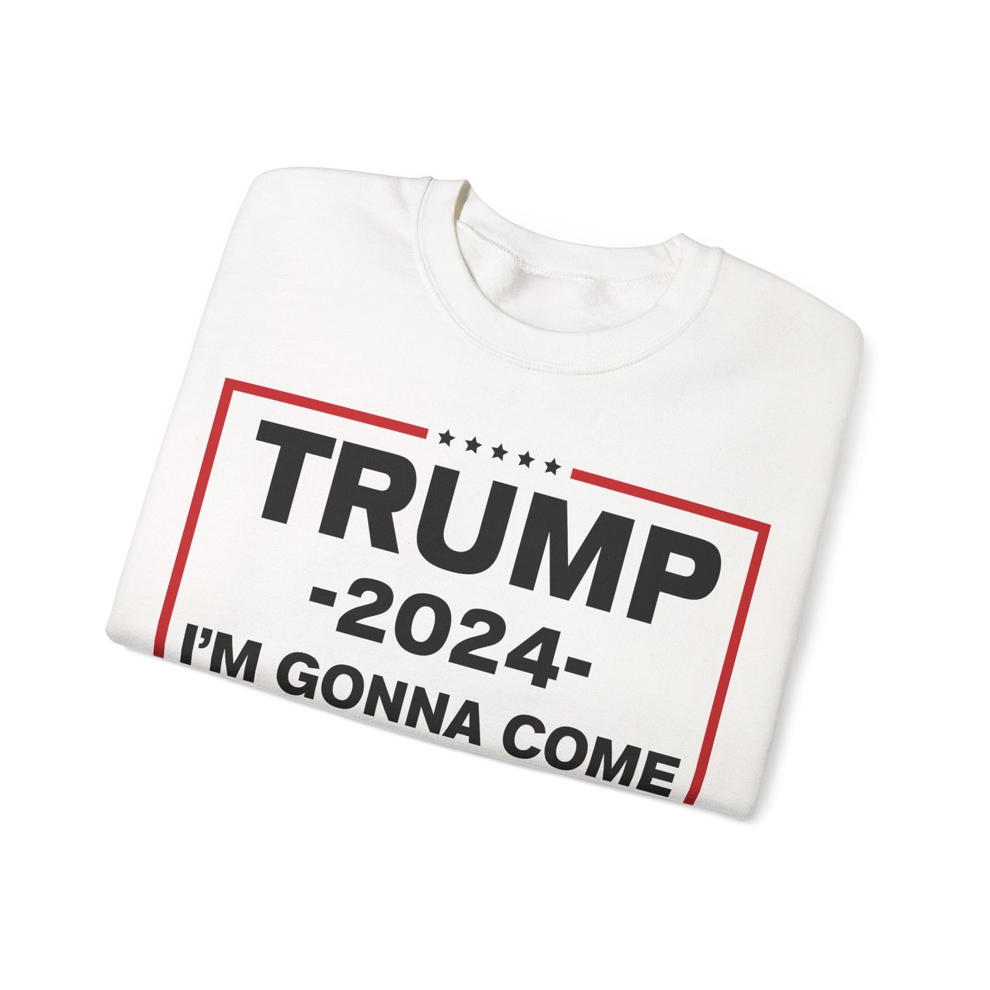 TRUMP Sweatshirt 2024 MAGA