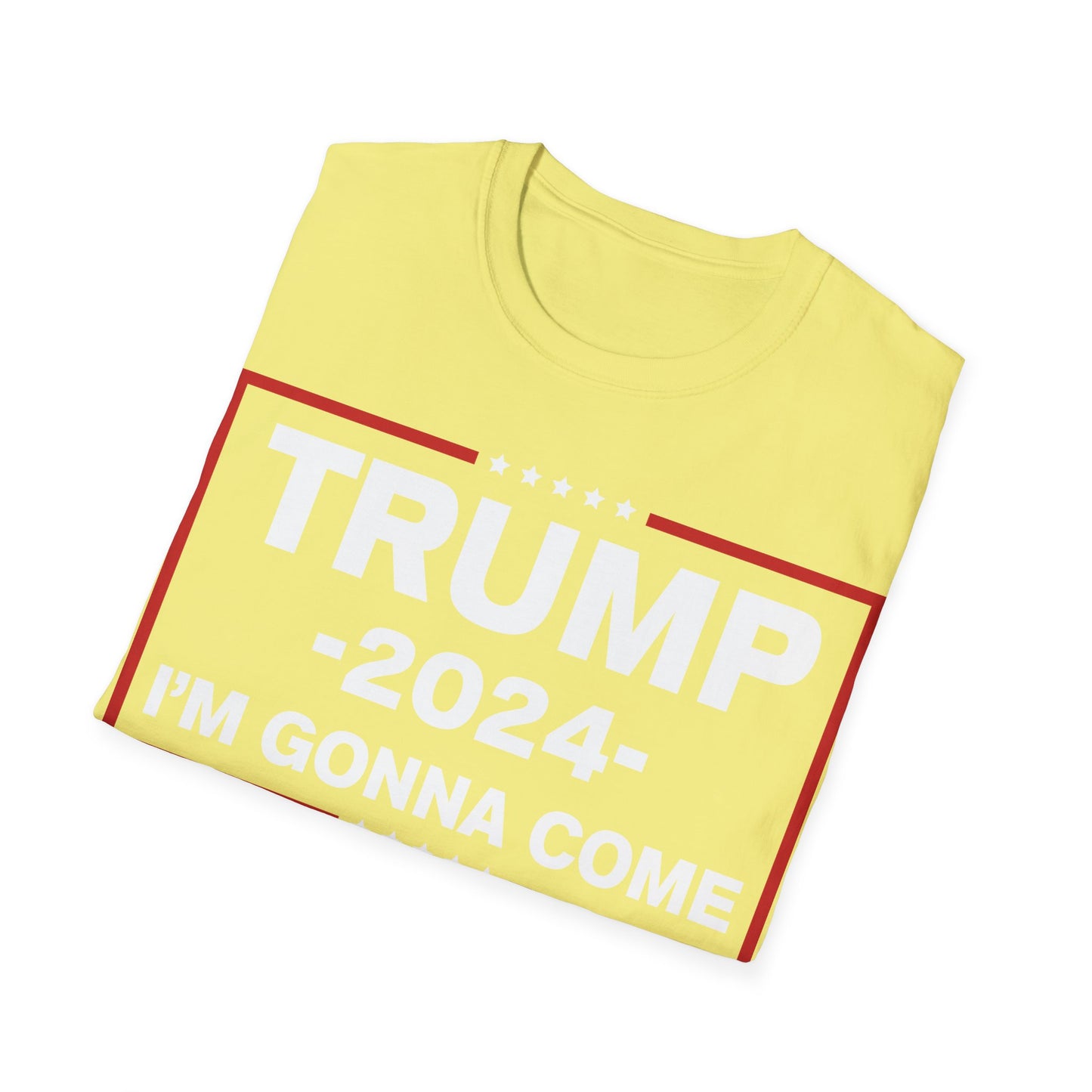 TRUMP TEE 2024 MAGA