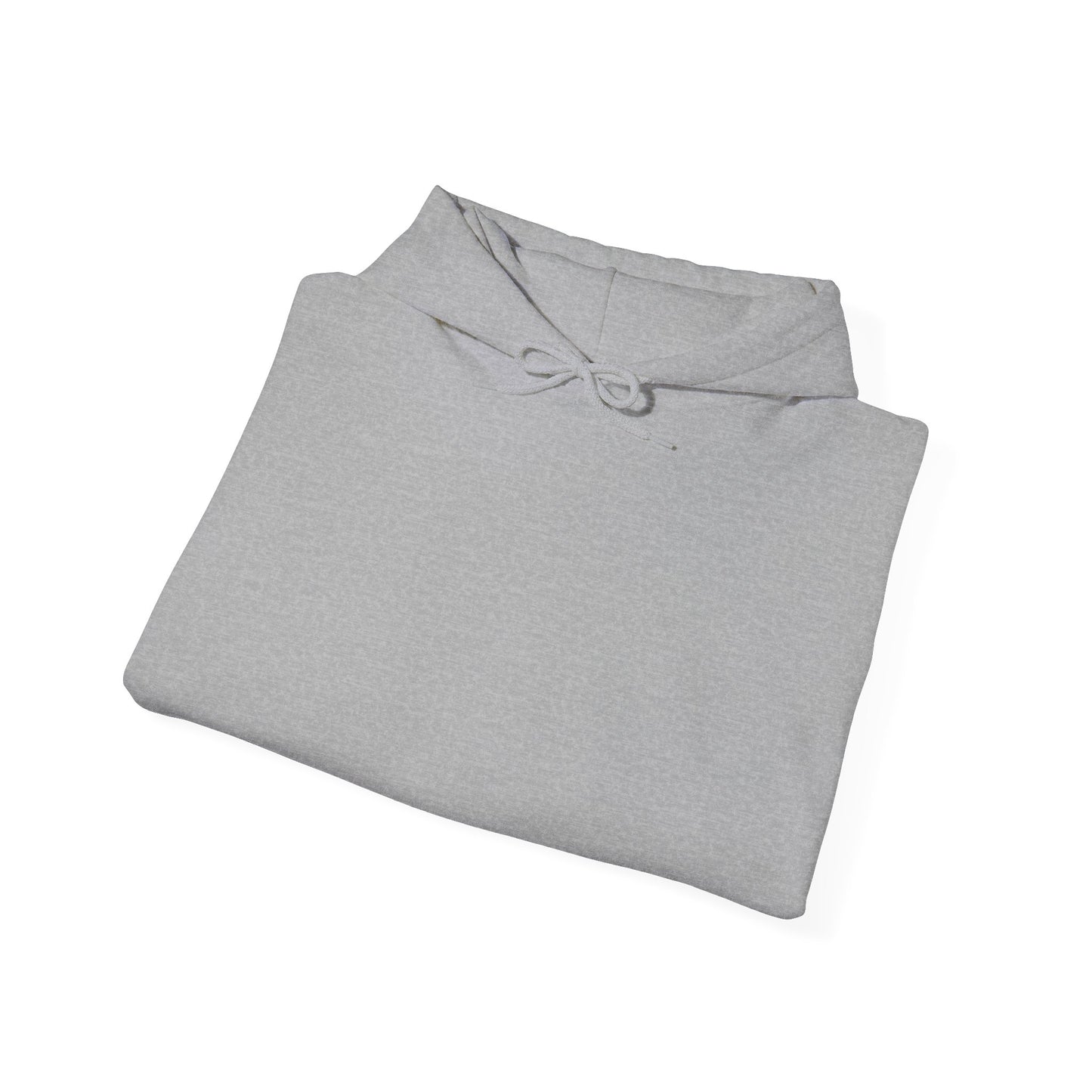 Alligator Alcatraz Hoodie